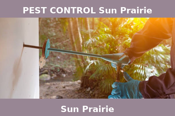 PEST CONTROL Sun Prairie